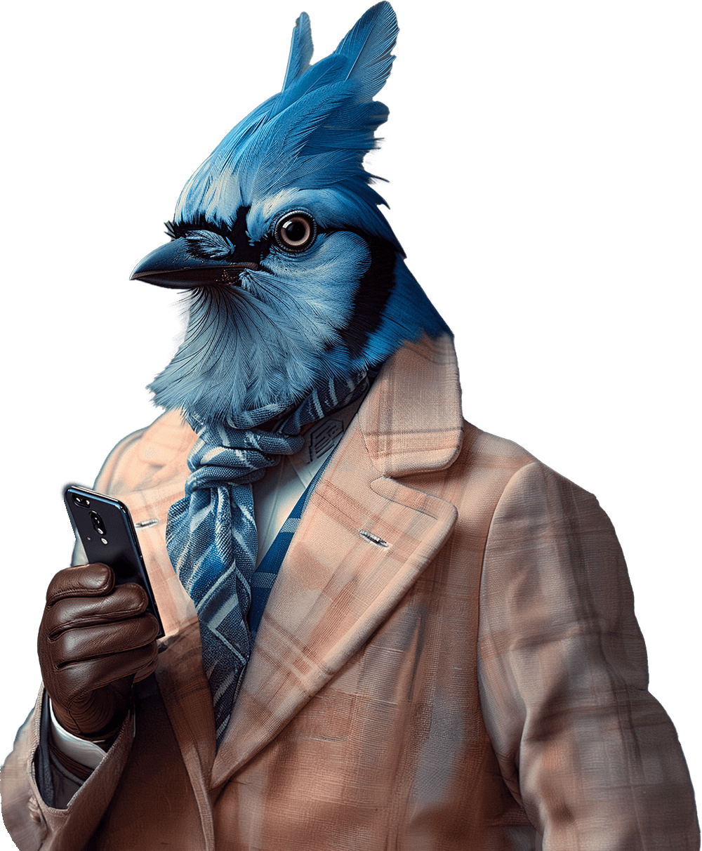 Blue Jay