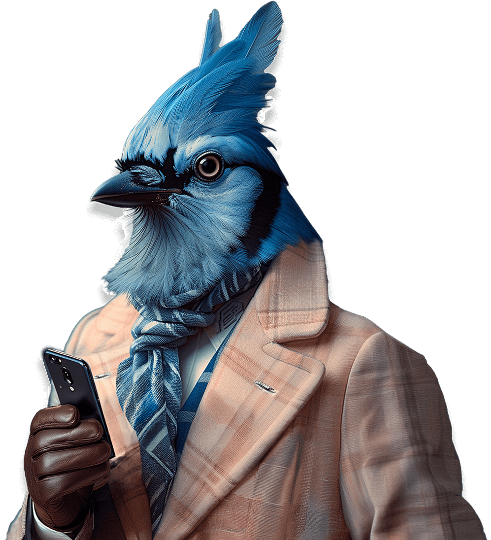 Blue Jay