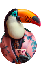 Toucan icon